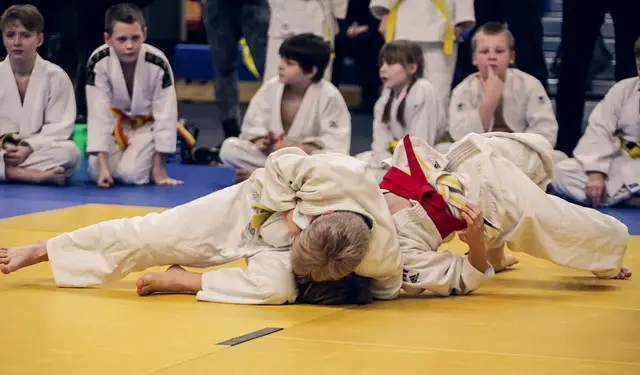 Éveil Judo au Judo Club Le Boulou : Une Introduction Ludique et Éducative pour les Enfants de 4 à 5 Ans